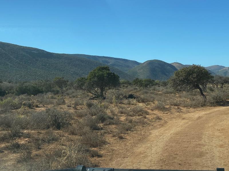 0 Bedroom Property for Sale in Kirkwood Eastern Cape